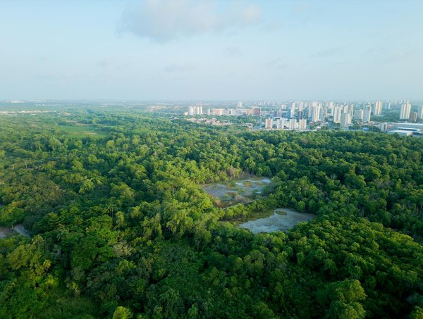 Éveiller les jeunes esprits à une consommation écoresponsable
